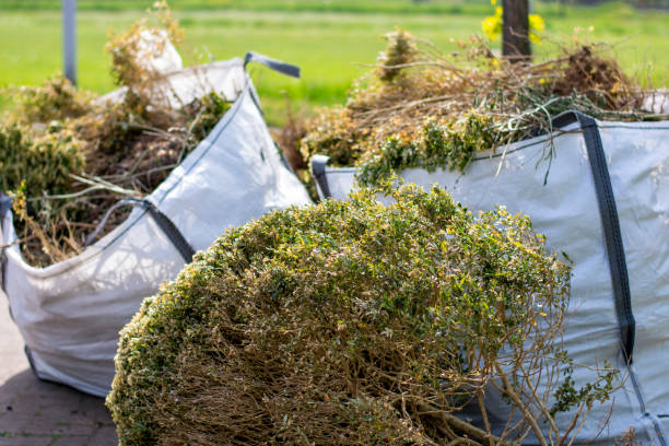 Full-Service Junk Removal in Lakeland Village, CA